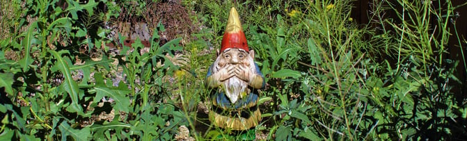 garden_gnome_cropped.jpeg